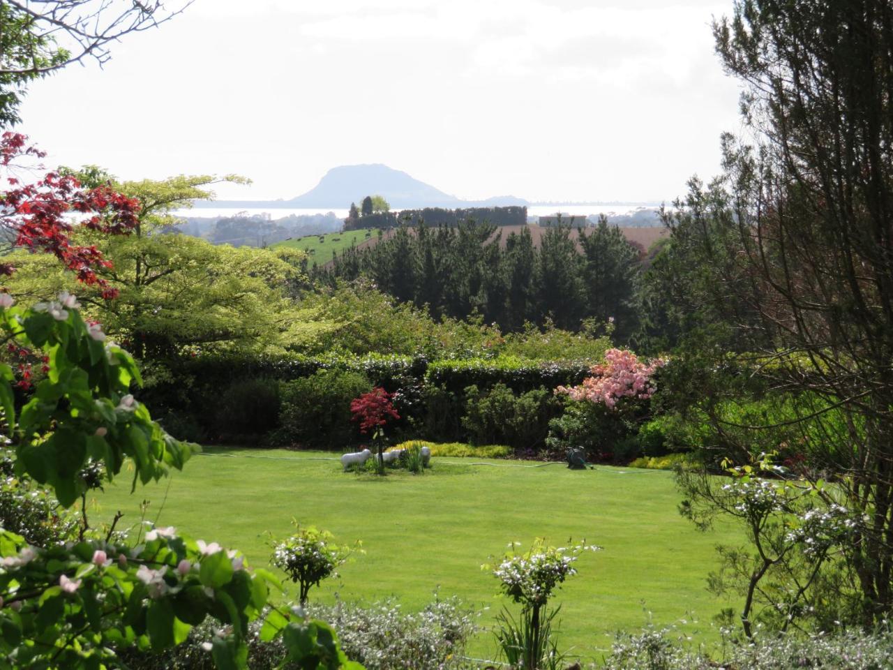 Three Gables B&B Whakamarama Exterior photo